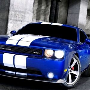 Meet your Posher, Morris